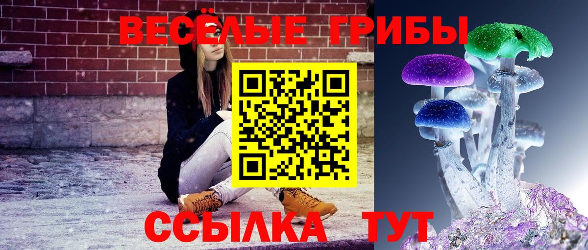 Псилоцибиновые грибы Psilocybe  Вход с VPN  Джанкой 